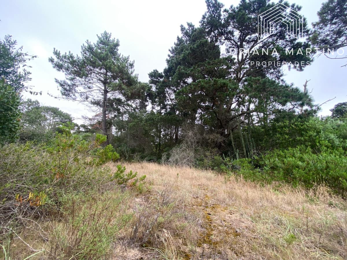 Terrenos en venta en Piedras del chileno, Punta del este