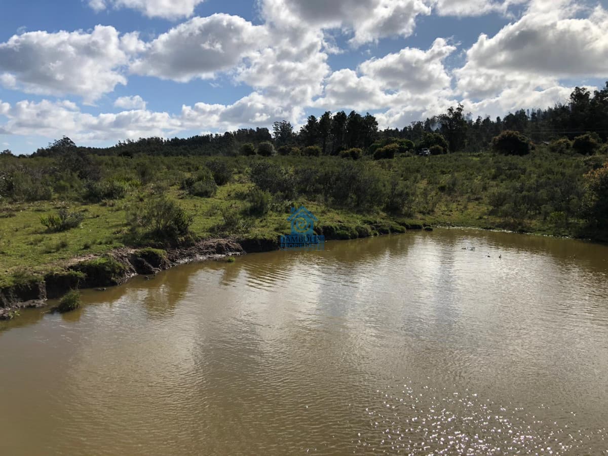 Hermoso Campo para Fraccionamiento  -