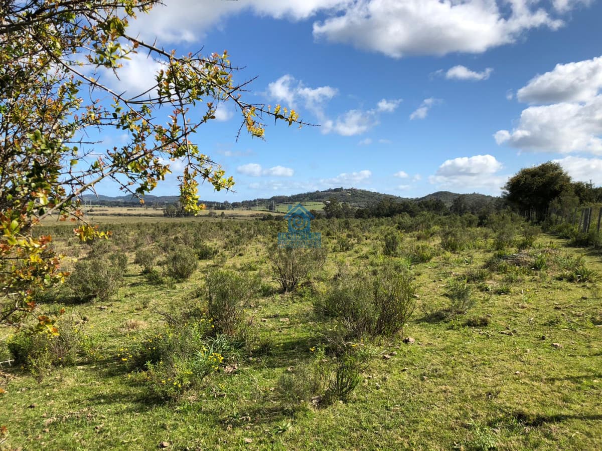 Hermoso Campo para Fraccionamiento  -