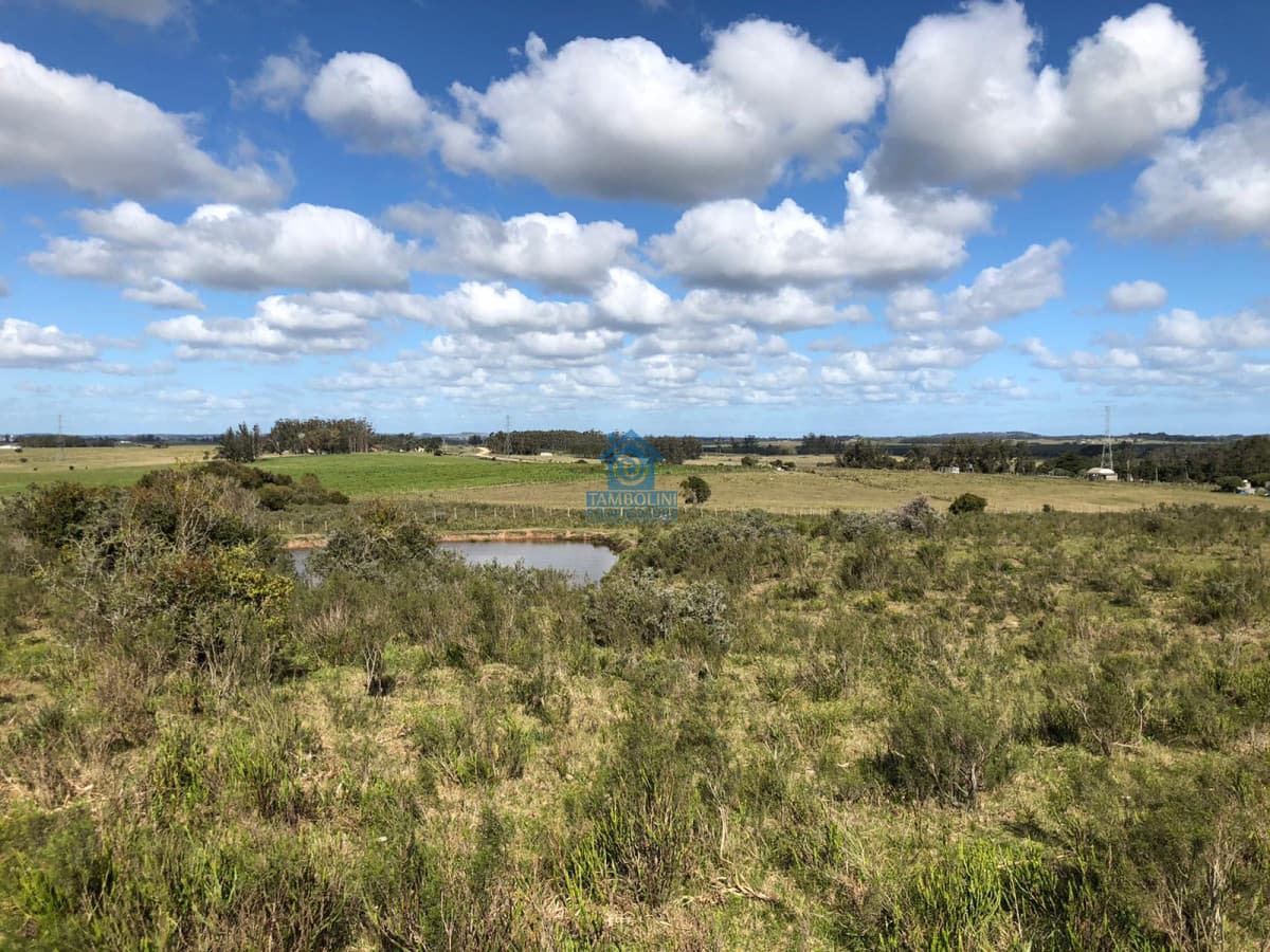 Hermoso Campo para Fraccionamiento  -