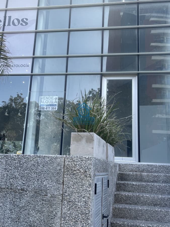 Local Comercial ID.152 - Local comercial en venta y alquiler en Punta Del Este