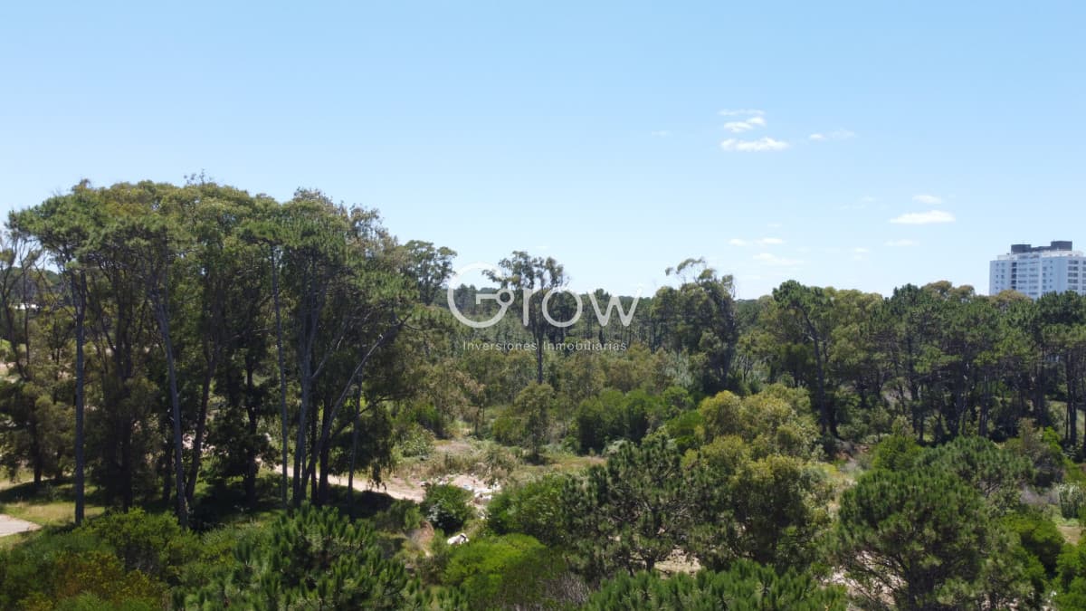 Monoambiente - Proyecto Eve Tower