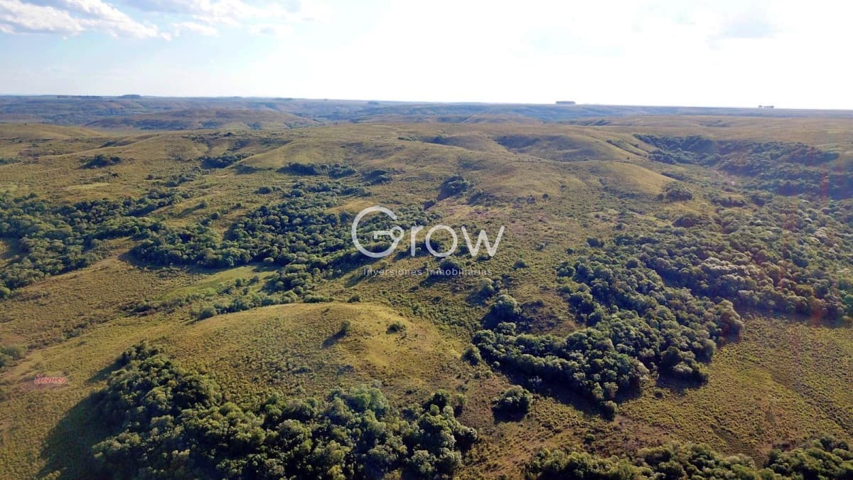 Gran campo ganadero en Tacuarembó!