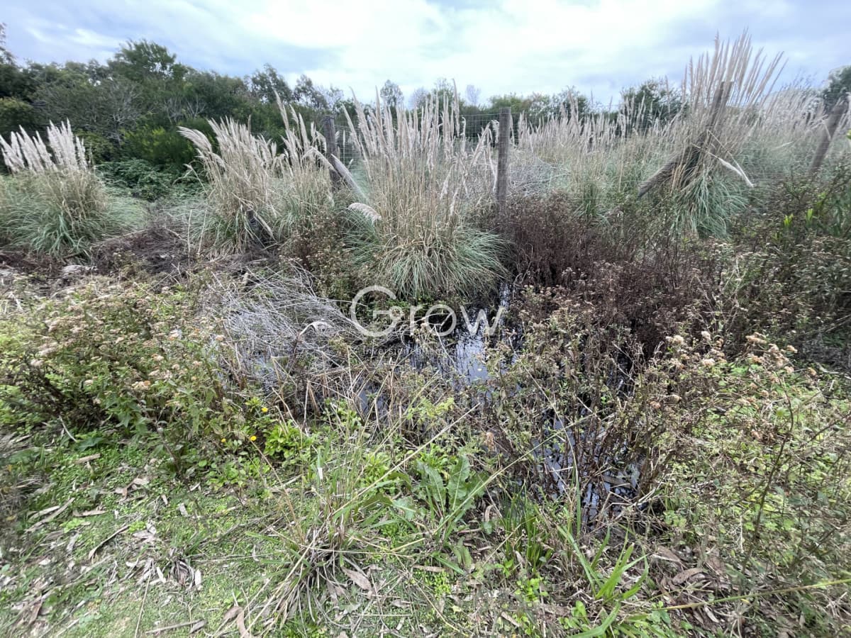 Terreno a 100 metros del mar en Punta Rubia