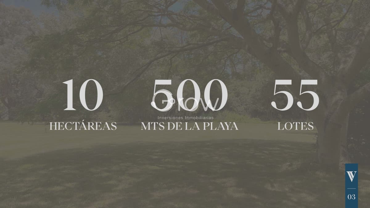 Lote a pasos del mar en Punta Ballena!