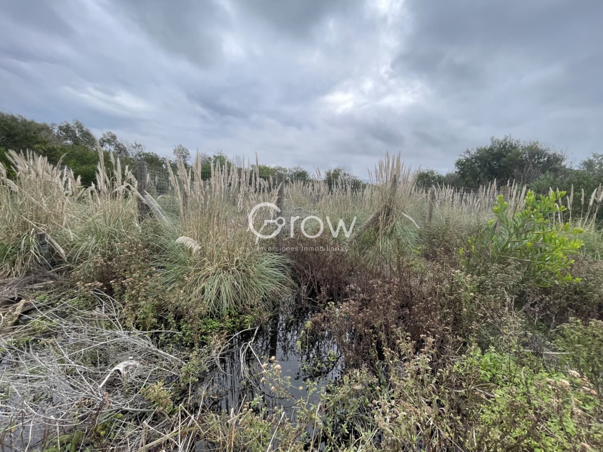 Terreno a 100 metros del mar en Punta Rubia