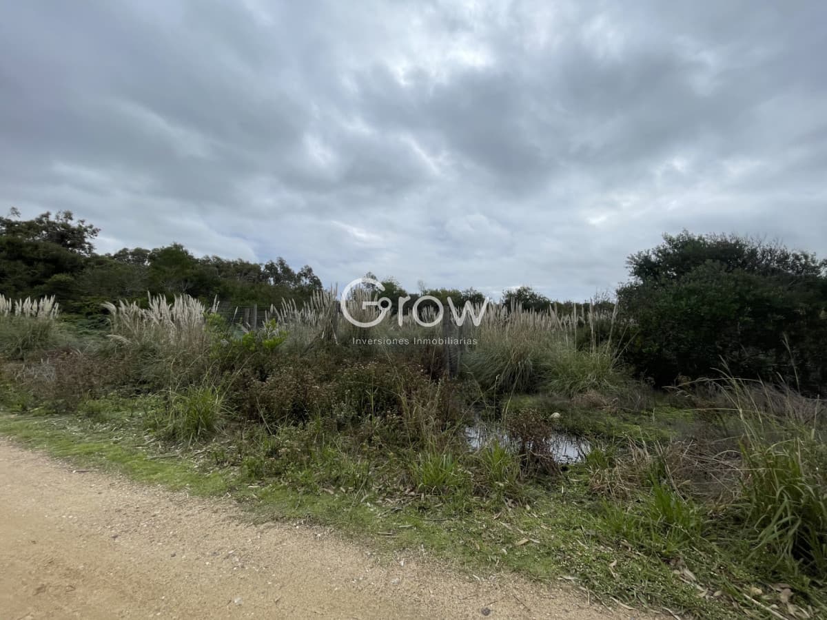 Terreno a 100 metros del mar en Punta Rubia