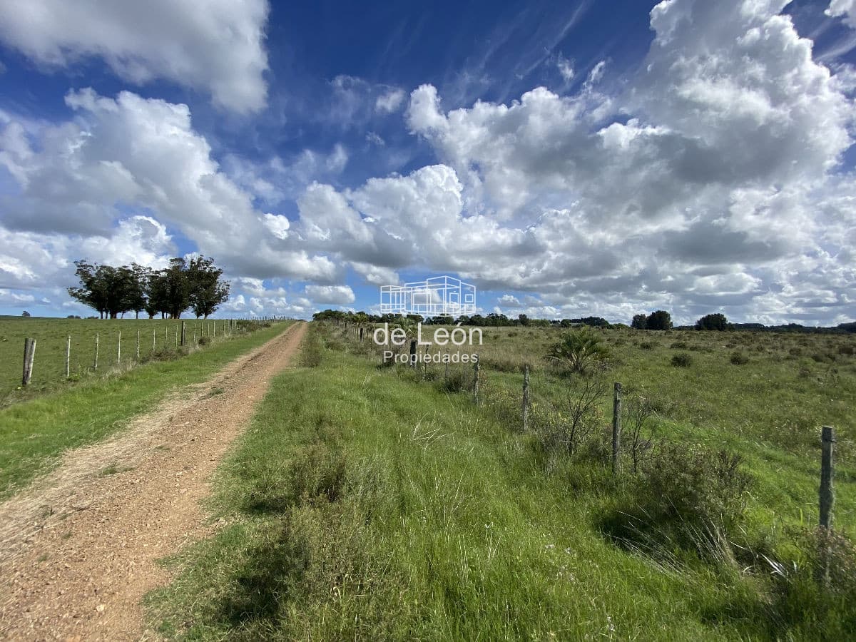 Chacra de 5 has en la zona de Ruta 104, La Barra