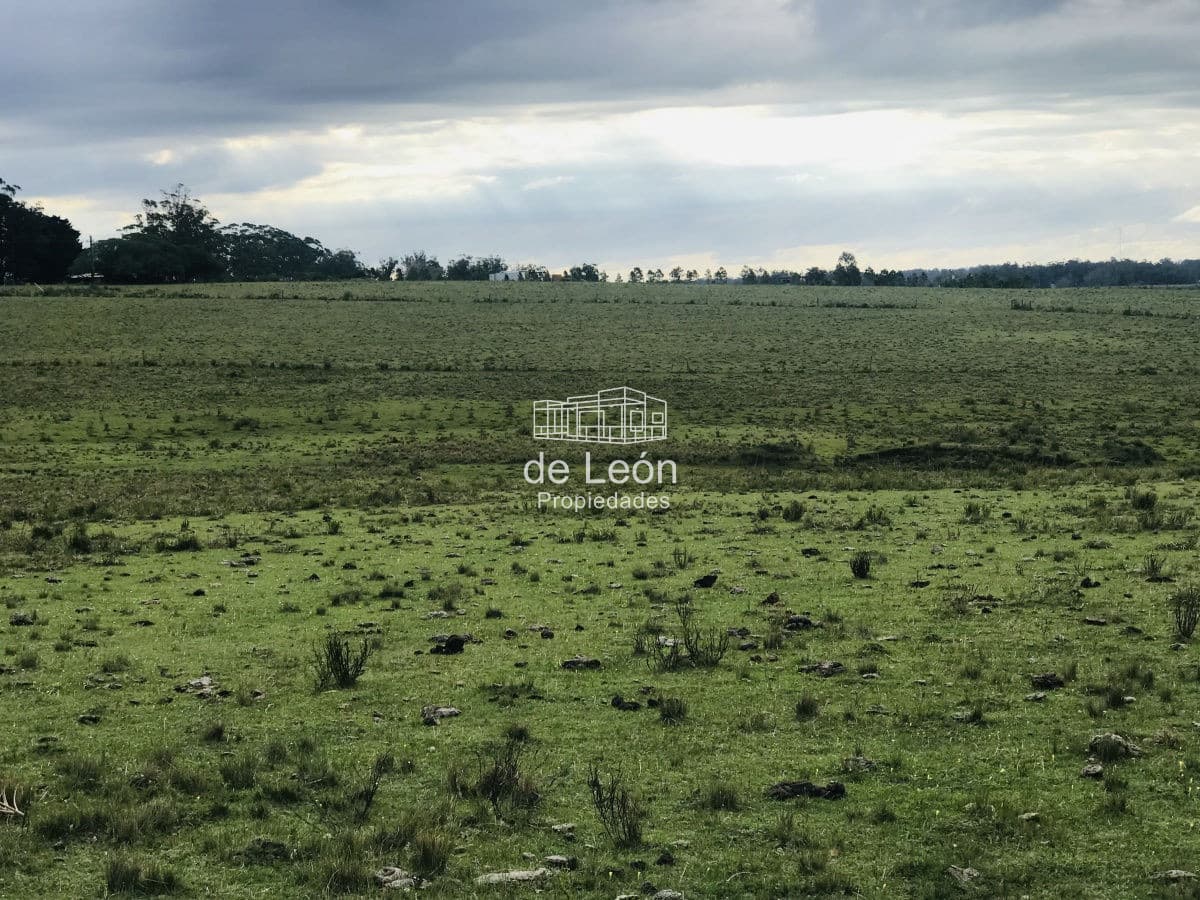 Excelente Campo de 43 hectáreas sobre Ruta 104