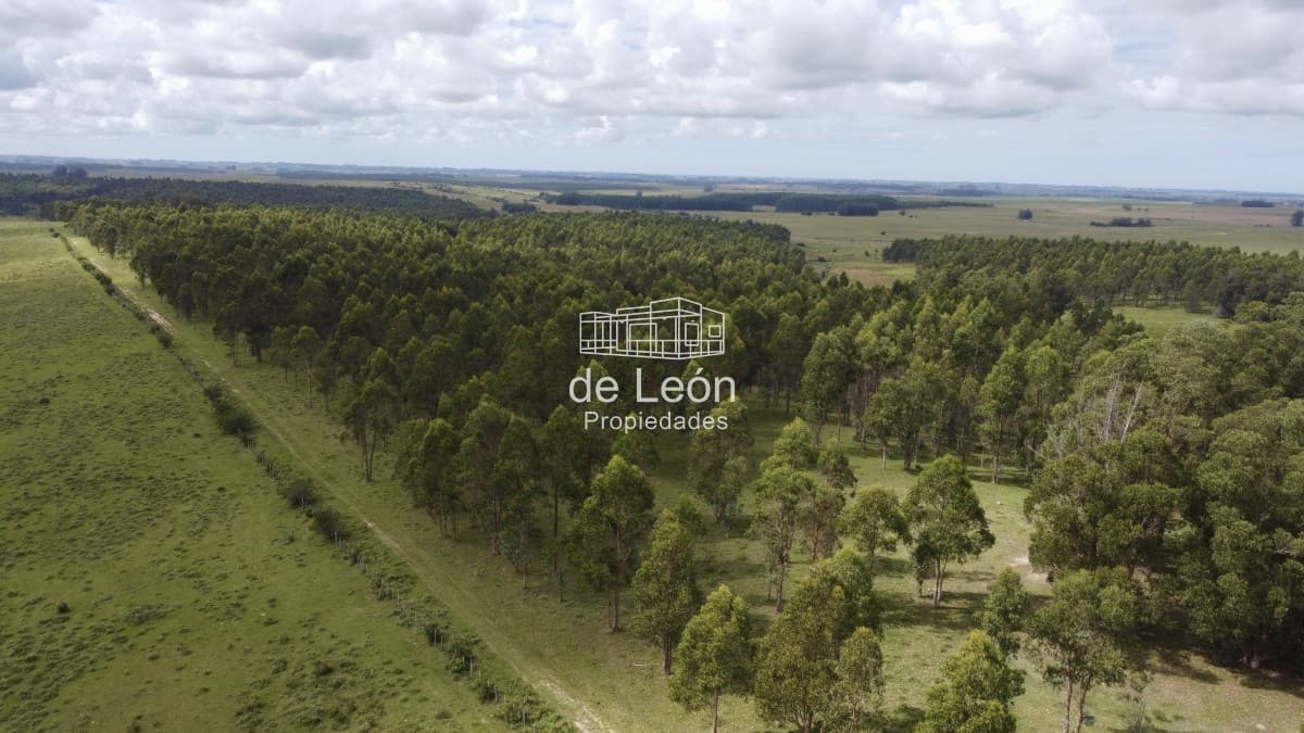 Campo de 123 has en Garzon por camino Sainz Martinez