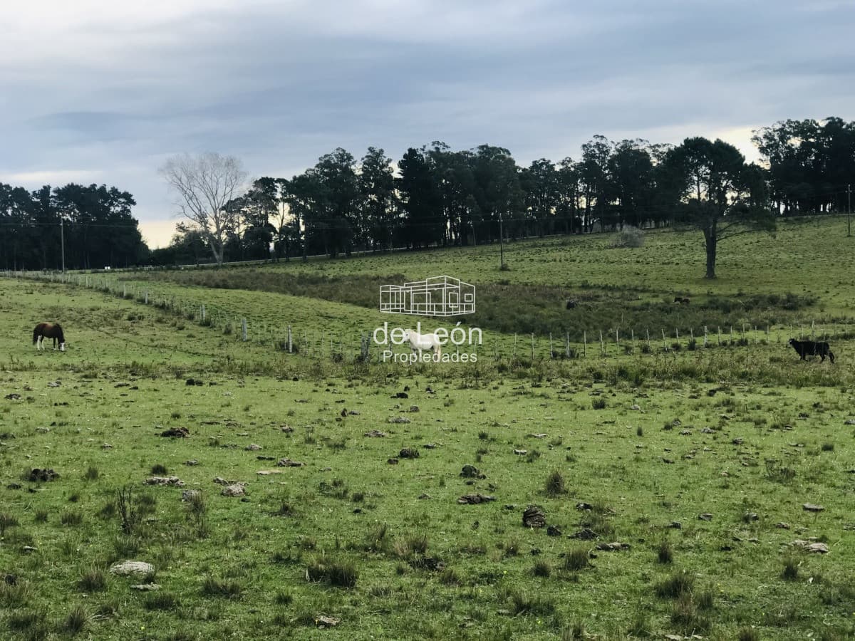 Campo en venta sobre Ruta 104 La Barra