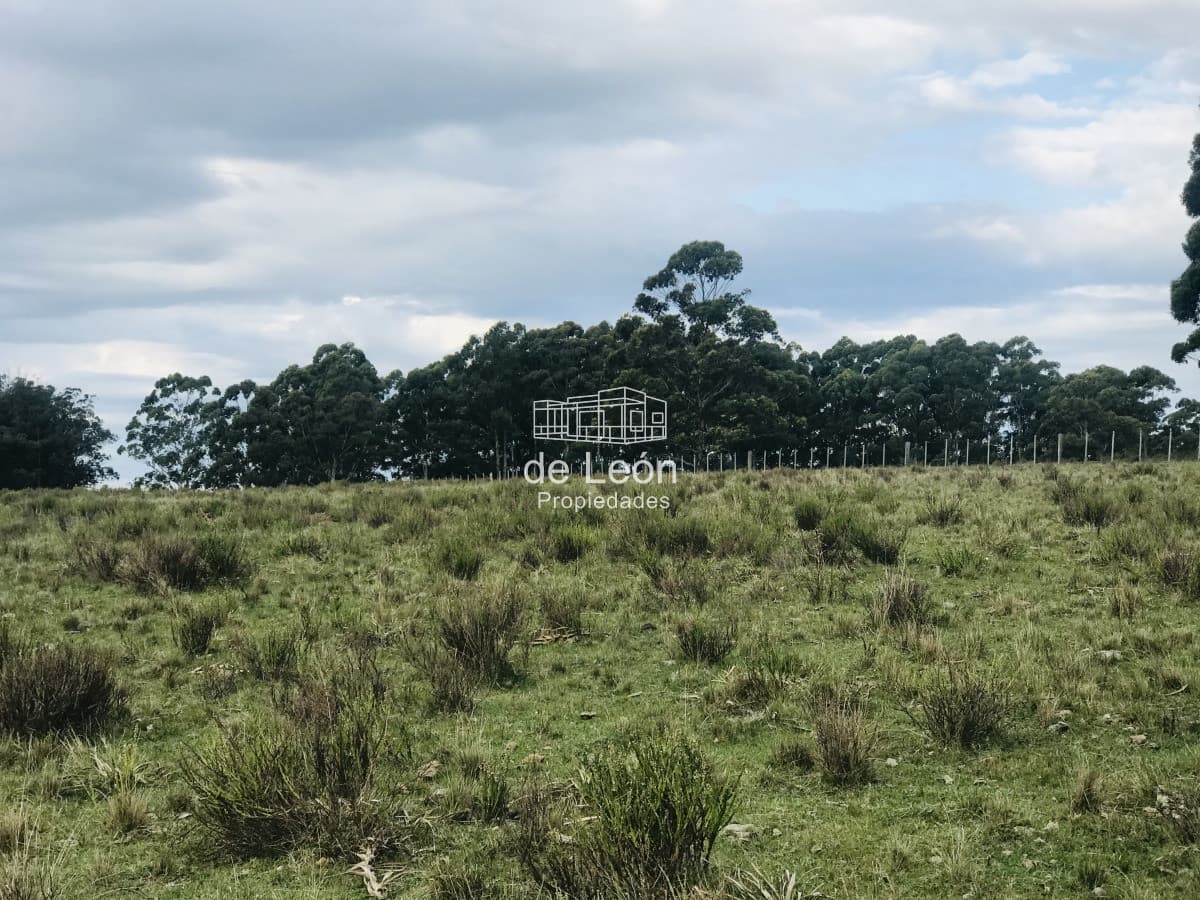 Campo en venta sobre Ruta 104 La Barra