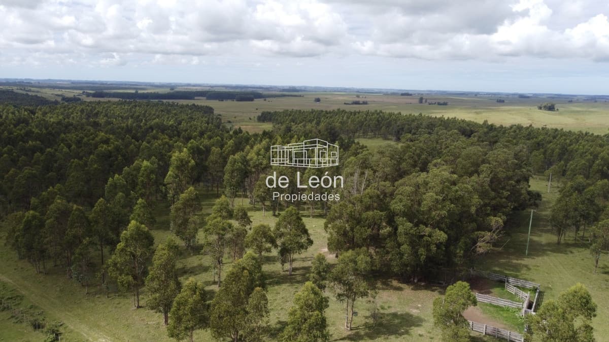 Campo de 123 has en Garzon por camino Sainz Martinez