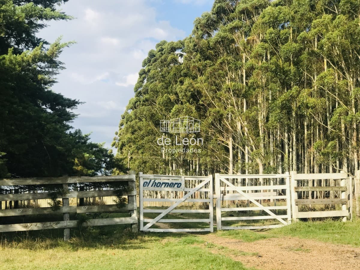 Campo en venta sobre Ruta 104 La Barra