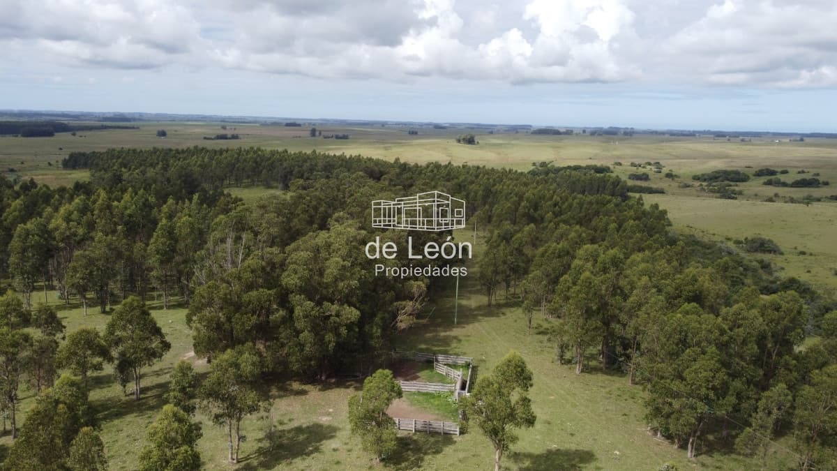 Campo de 123 has en Garzon por camino Sainz Martinez