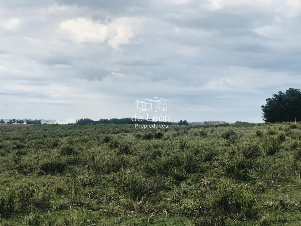 Campo en venta sobre Ruta 104 La Barra