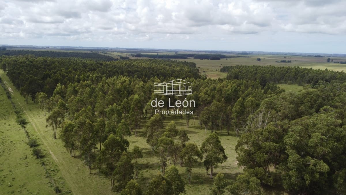 Campo de 123 has en Garzon por camino Sainz Martinez