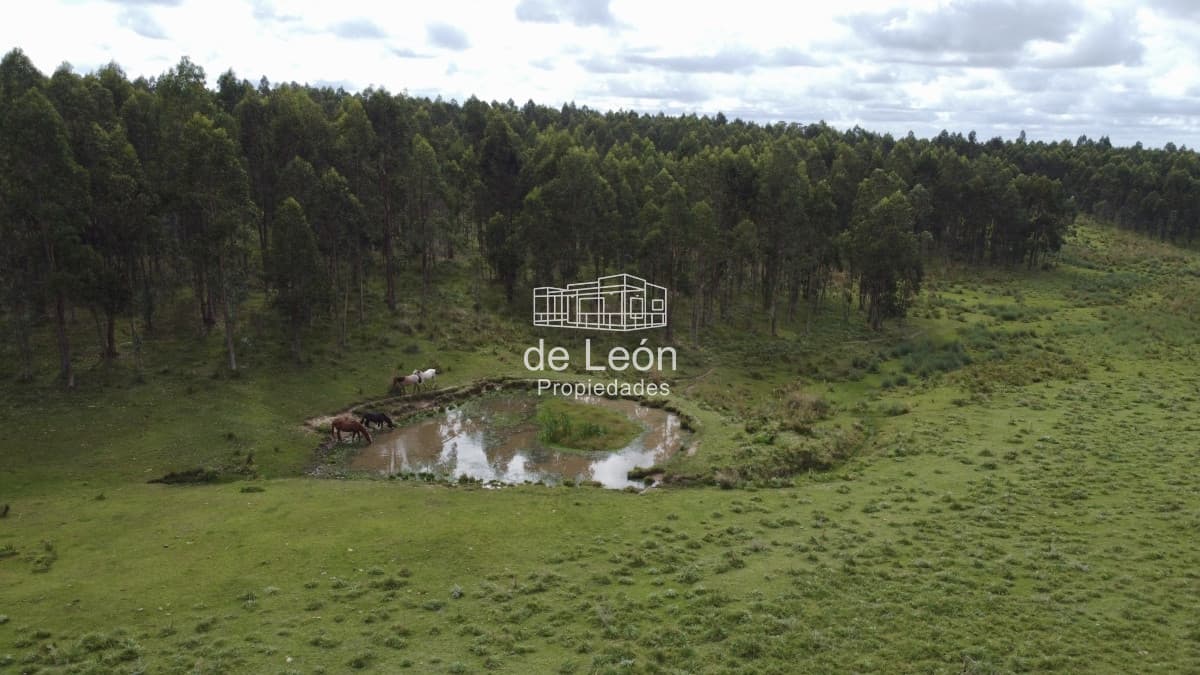 Campo de 123 has en Garzon por camino Sainz Martinez