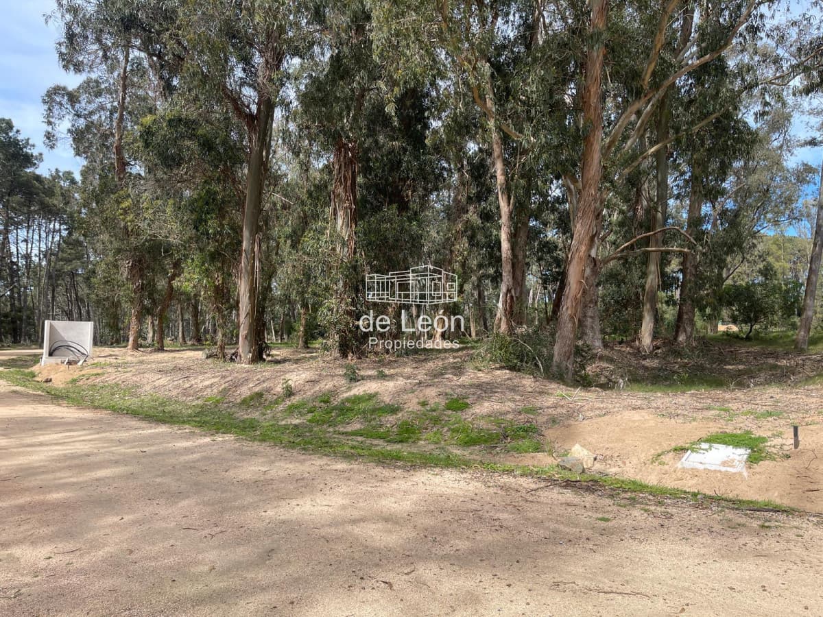 Reserva Montoya lote en venta