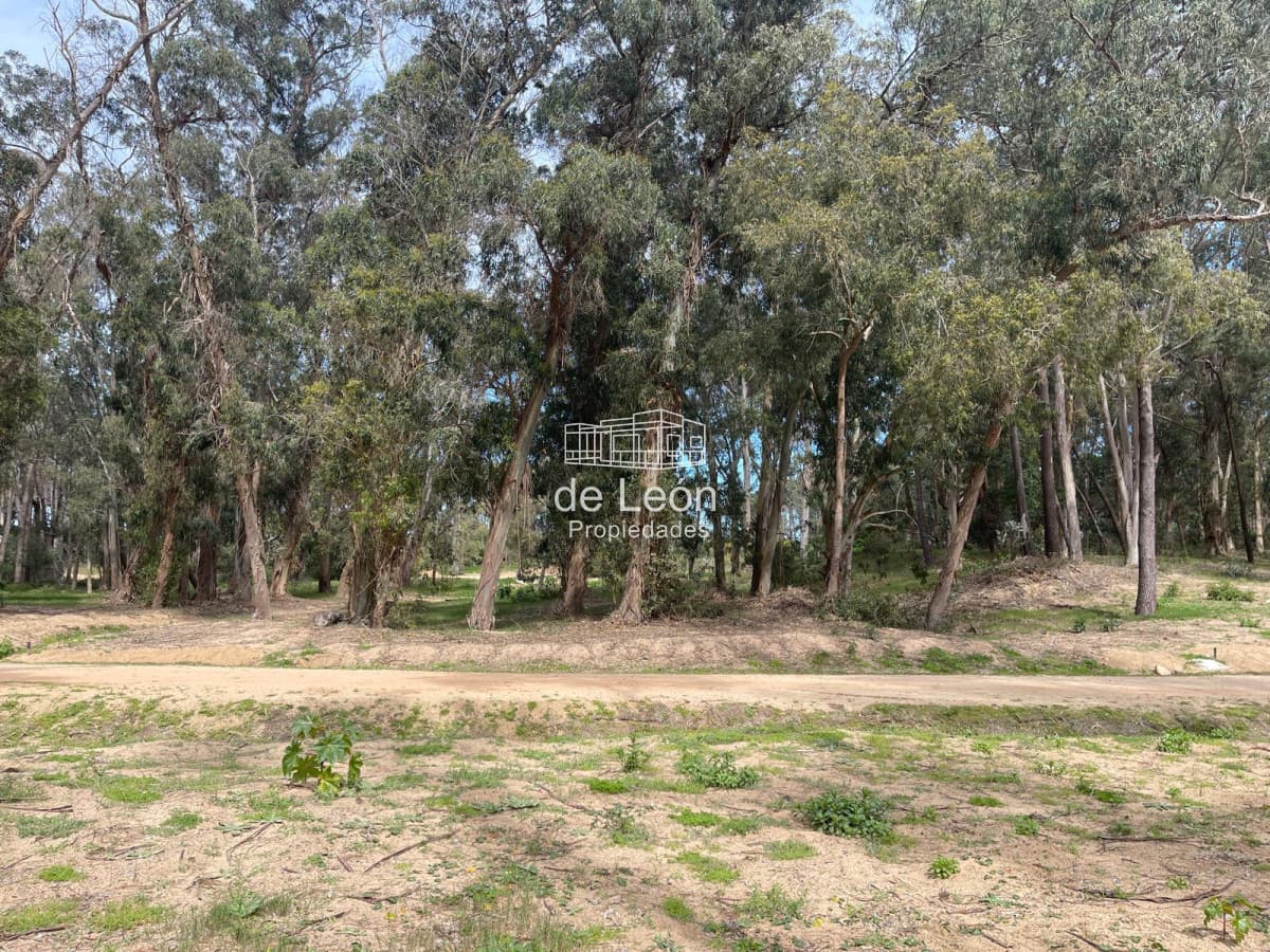 Reserva Montoya lote en venta
