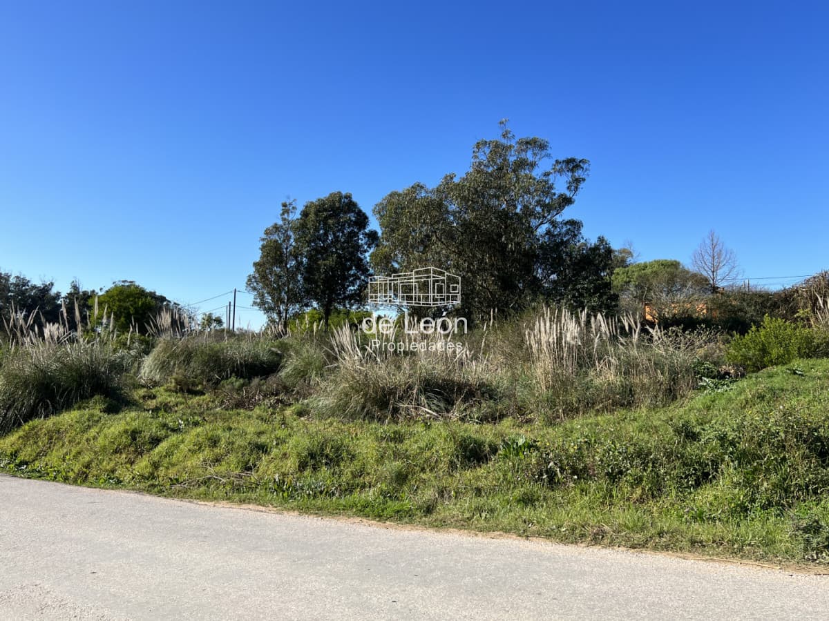 Terreno en El Chorro, 3 padrones juntos total 1.549m2