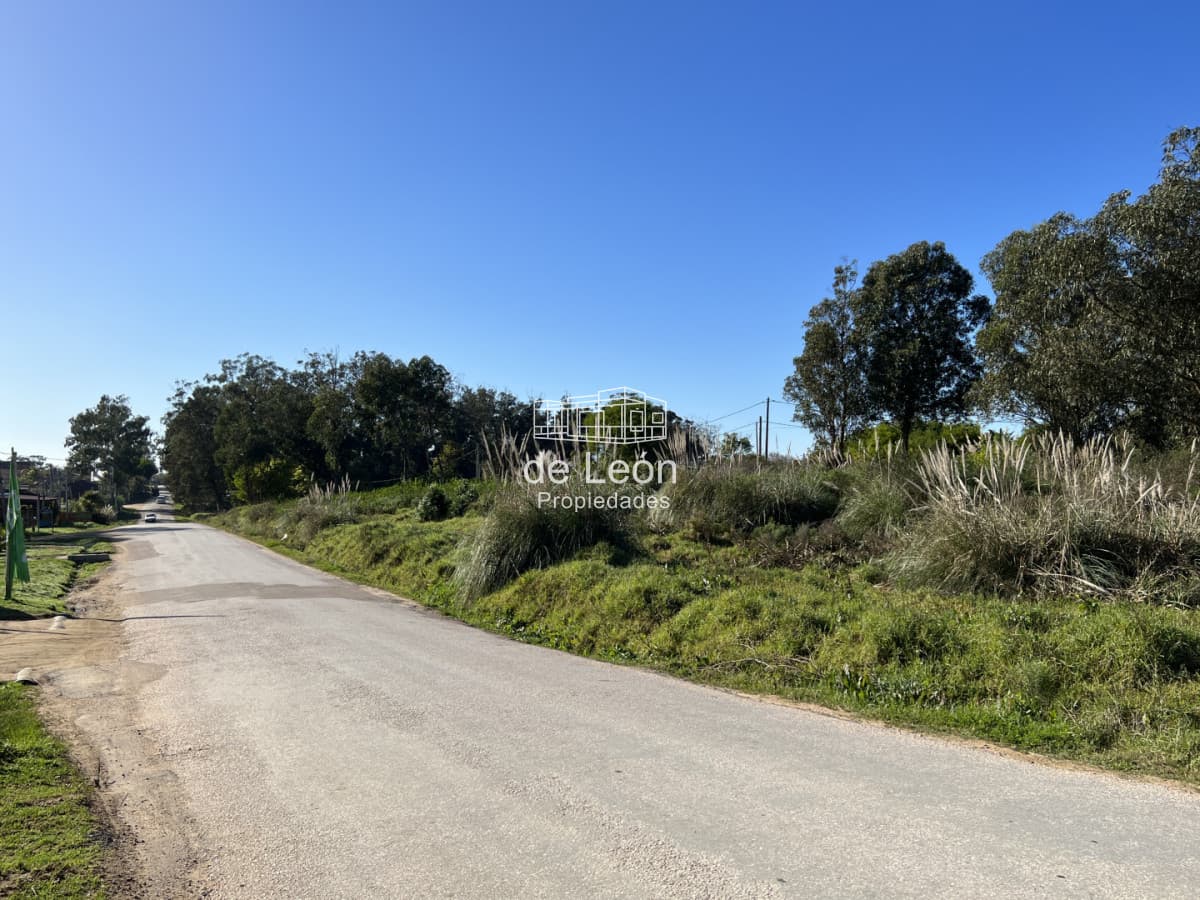 Terreno en El Chorro, 3 padrones juntos total 1.549m2