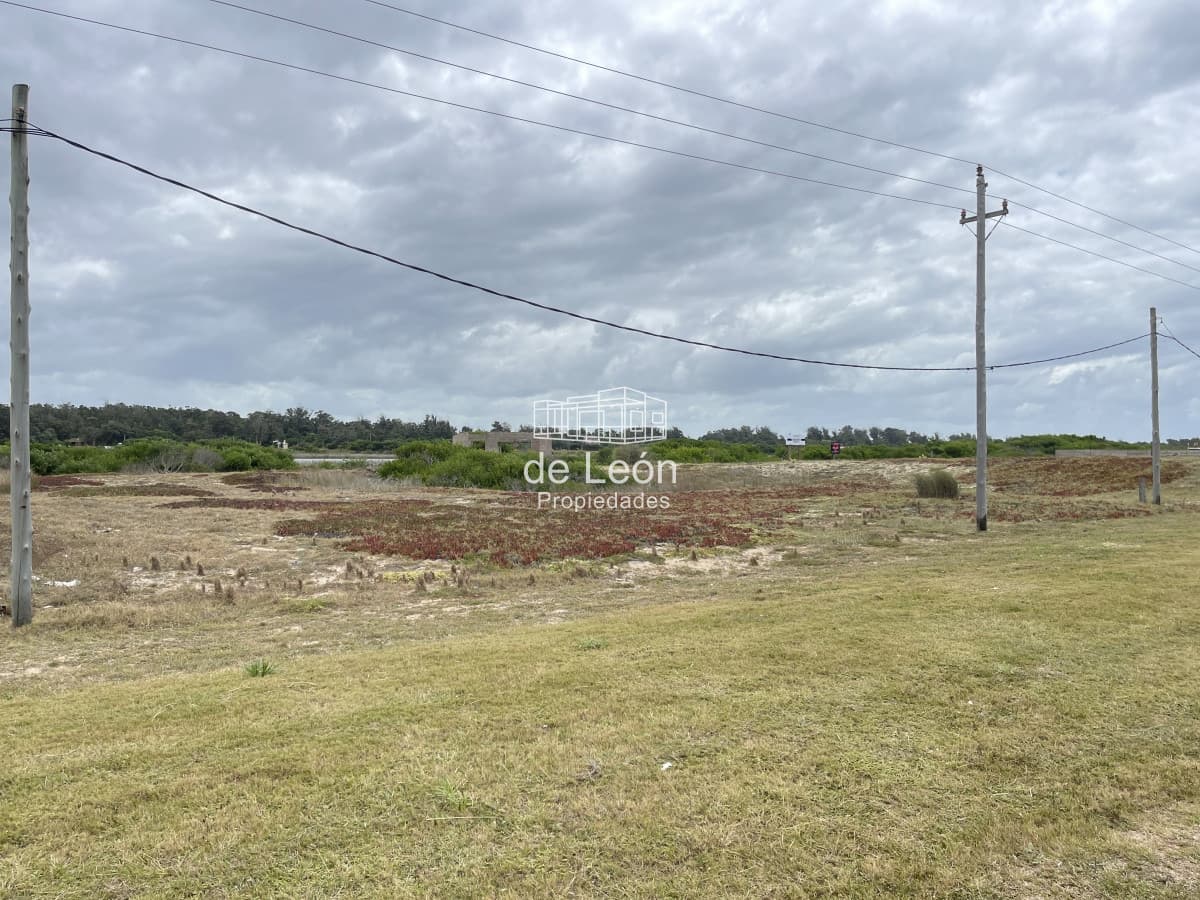 Lote de 2278m2 frente al mar en Santa Monica, Jose Ignacio