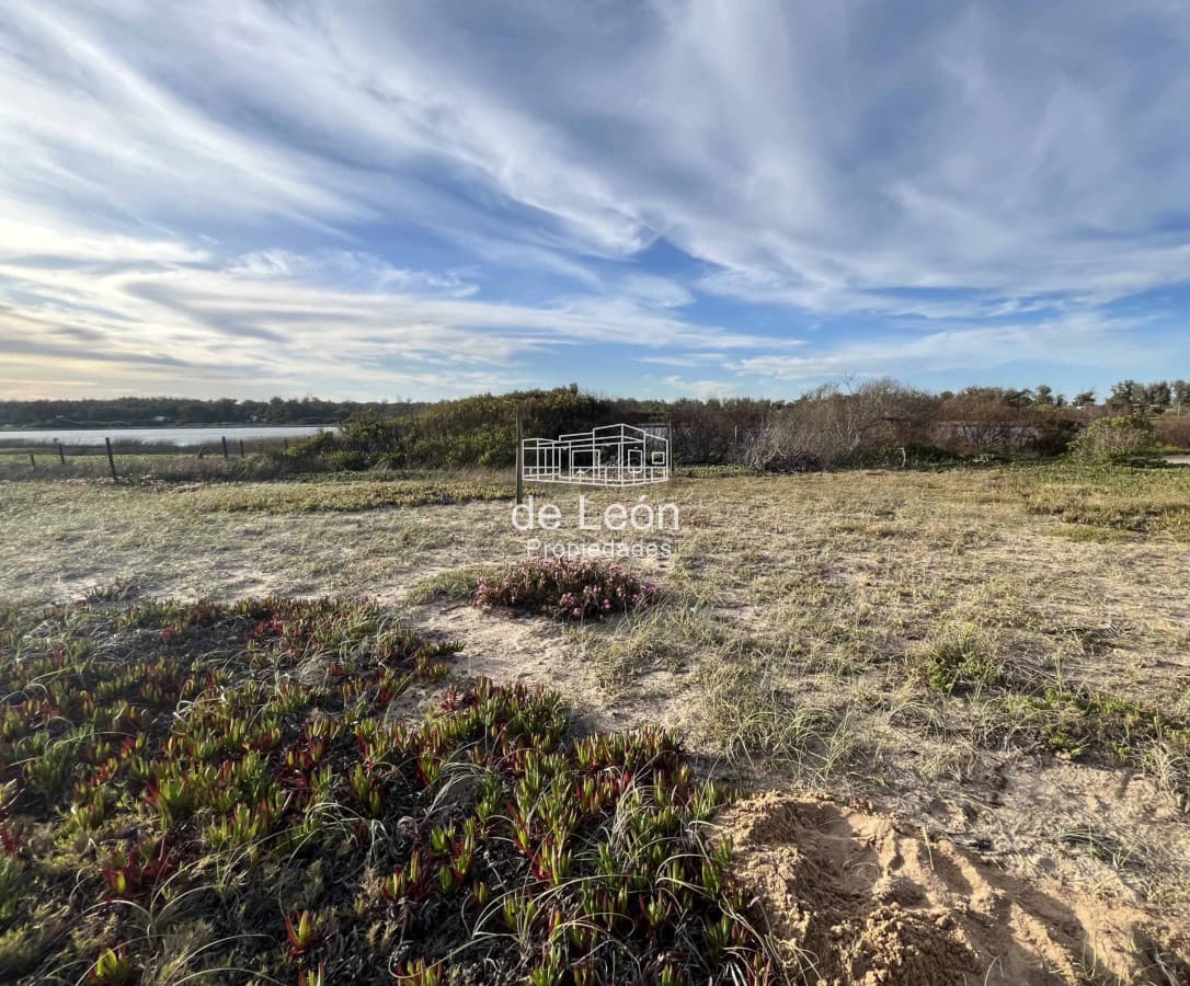 Terreno sobre la laguna en Santa Monica, Jose Ignacio
