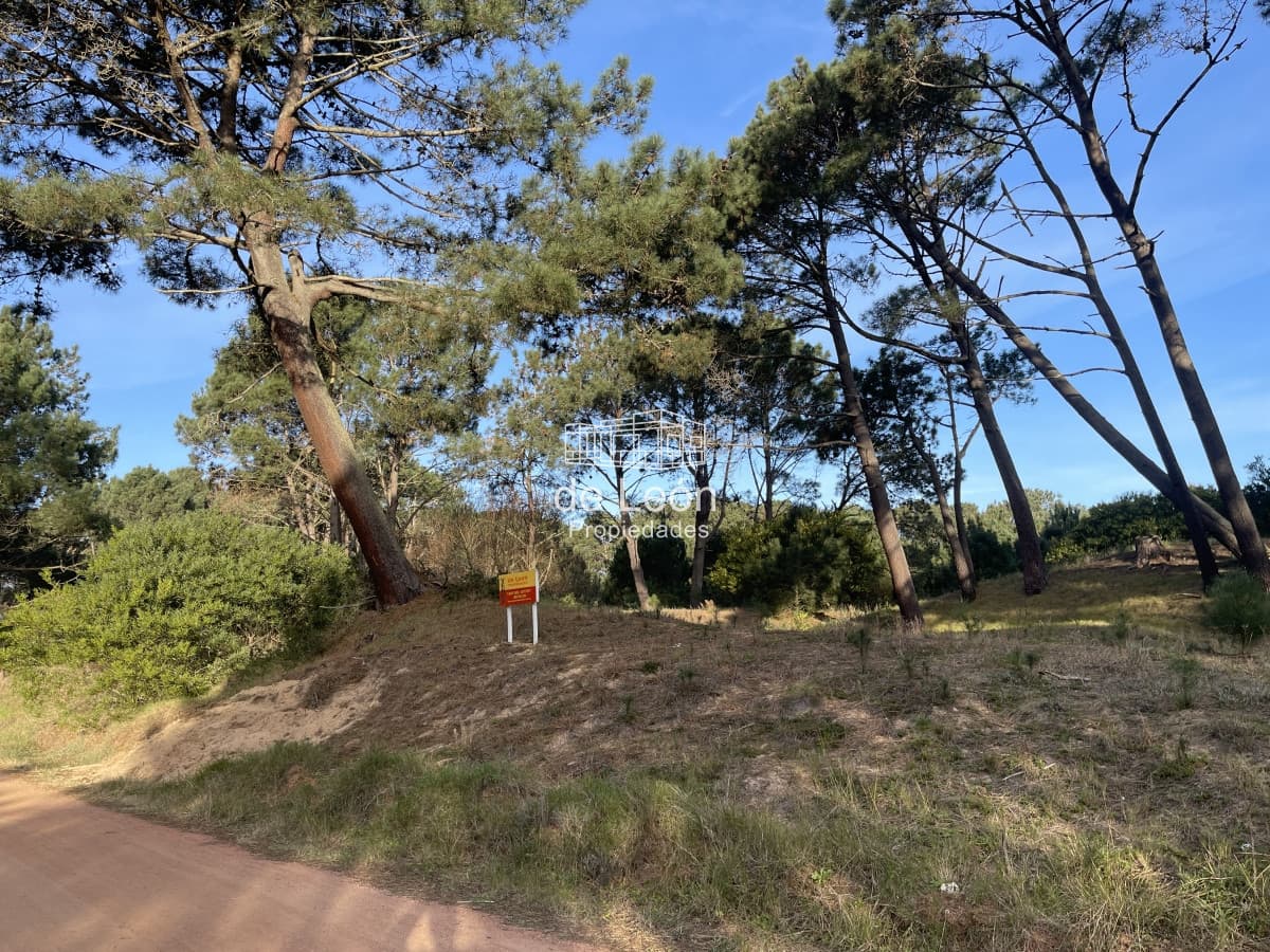Lote en venta de 2600 metros en Barra Verde, La Barra