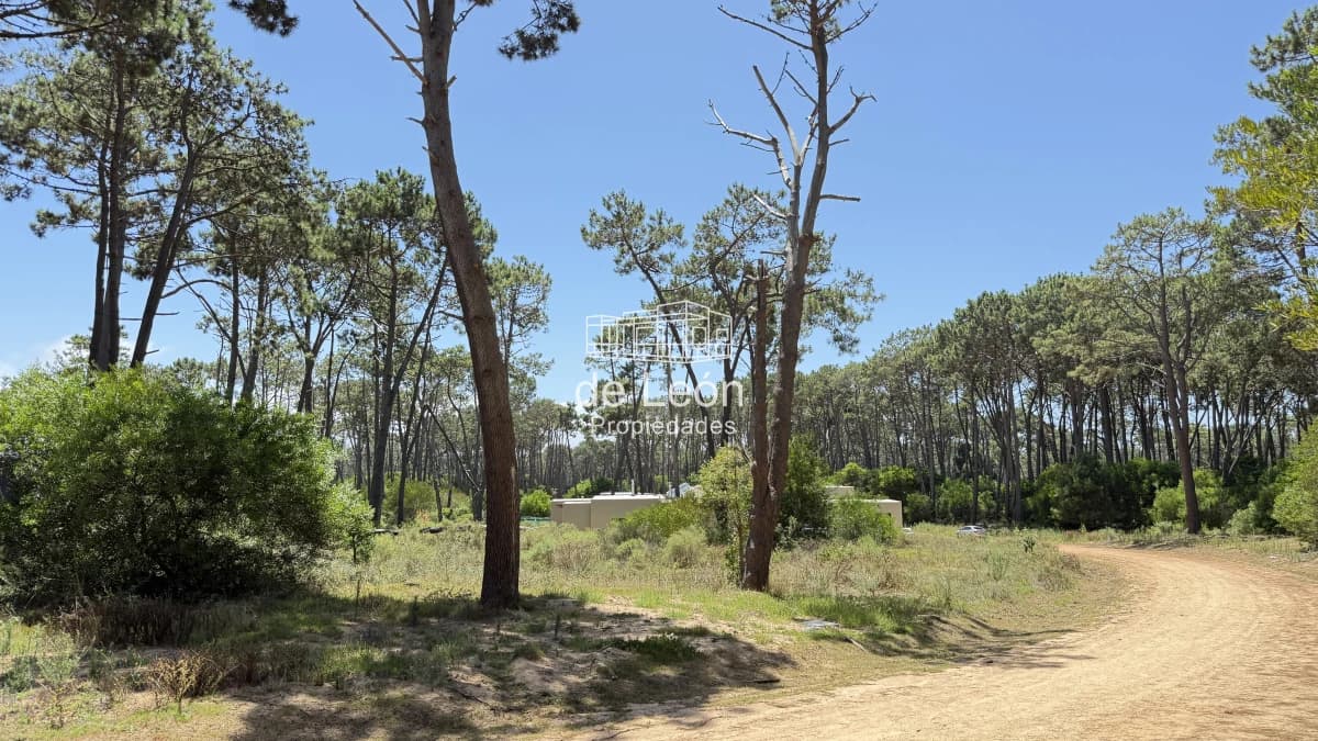 Exclusivo lote en Reserva Montoya, La Barra