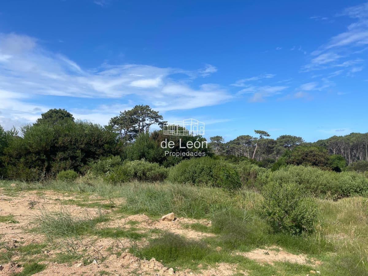 Exclusivo lote en Reserva Montoya, La Barra