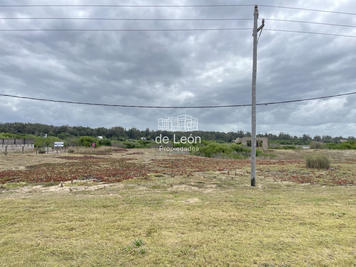 Lote de 2278m2 frente al mar en Santa Monica, Jose Ignacio