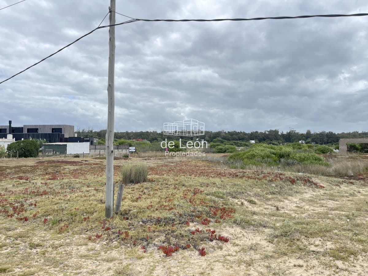 Lote de 2278m2 frente al mar en Santa Monica, Jose Ignacio