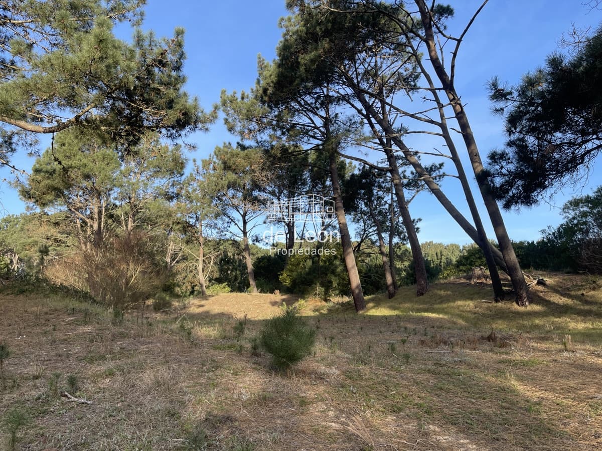 Lote en venta de 2600 metros en Barra Verde, La Barra