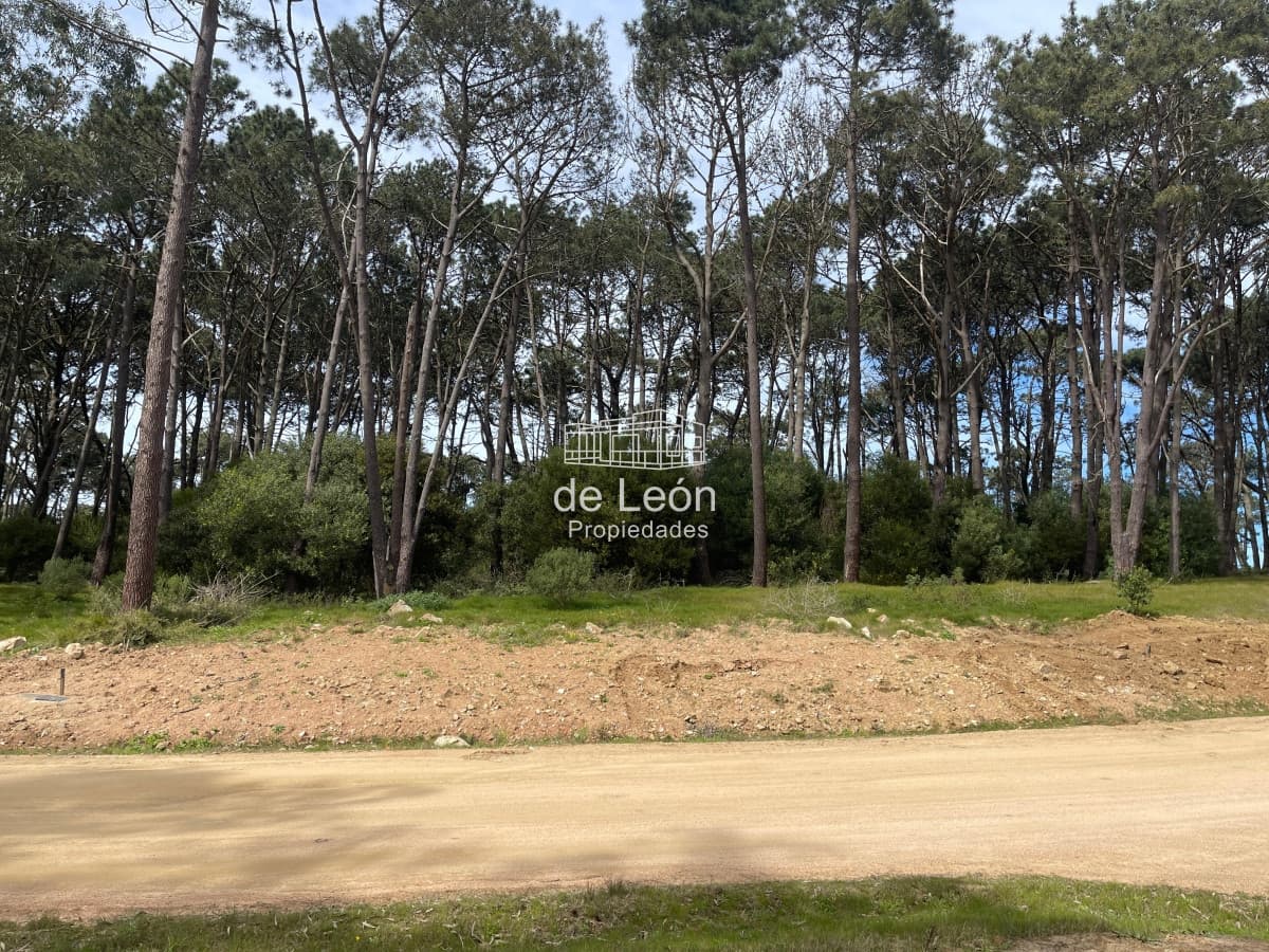 Lote en Venta en Reserva Montoya, La Barra