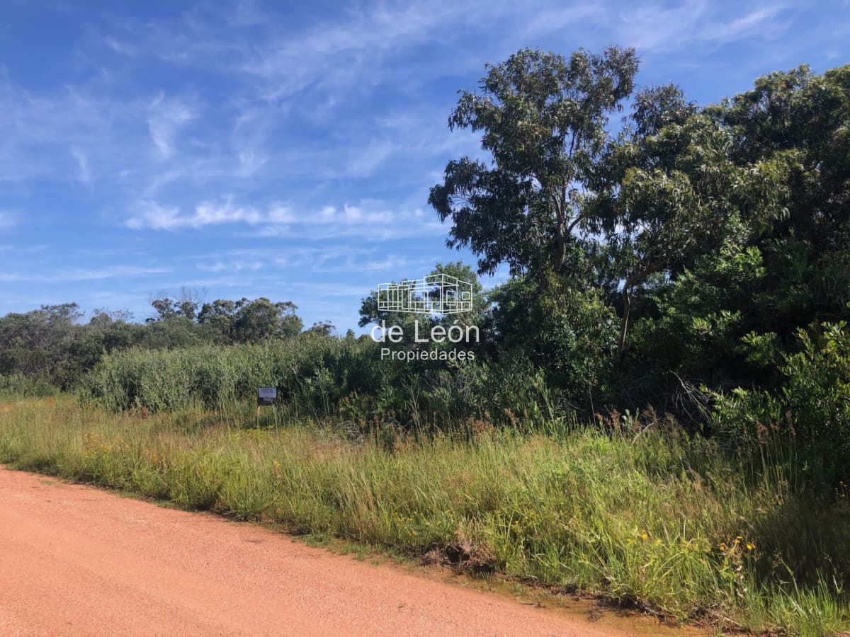 Terreno en venta en Sanra Monica, Jose Ignacio
