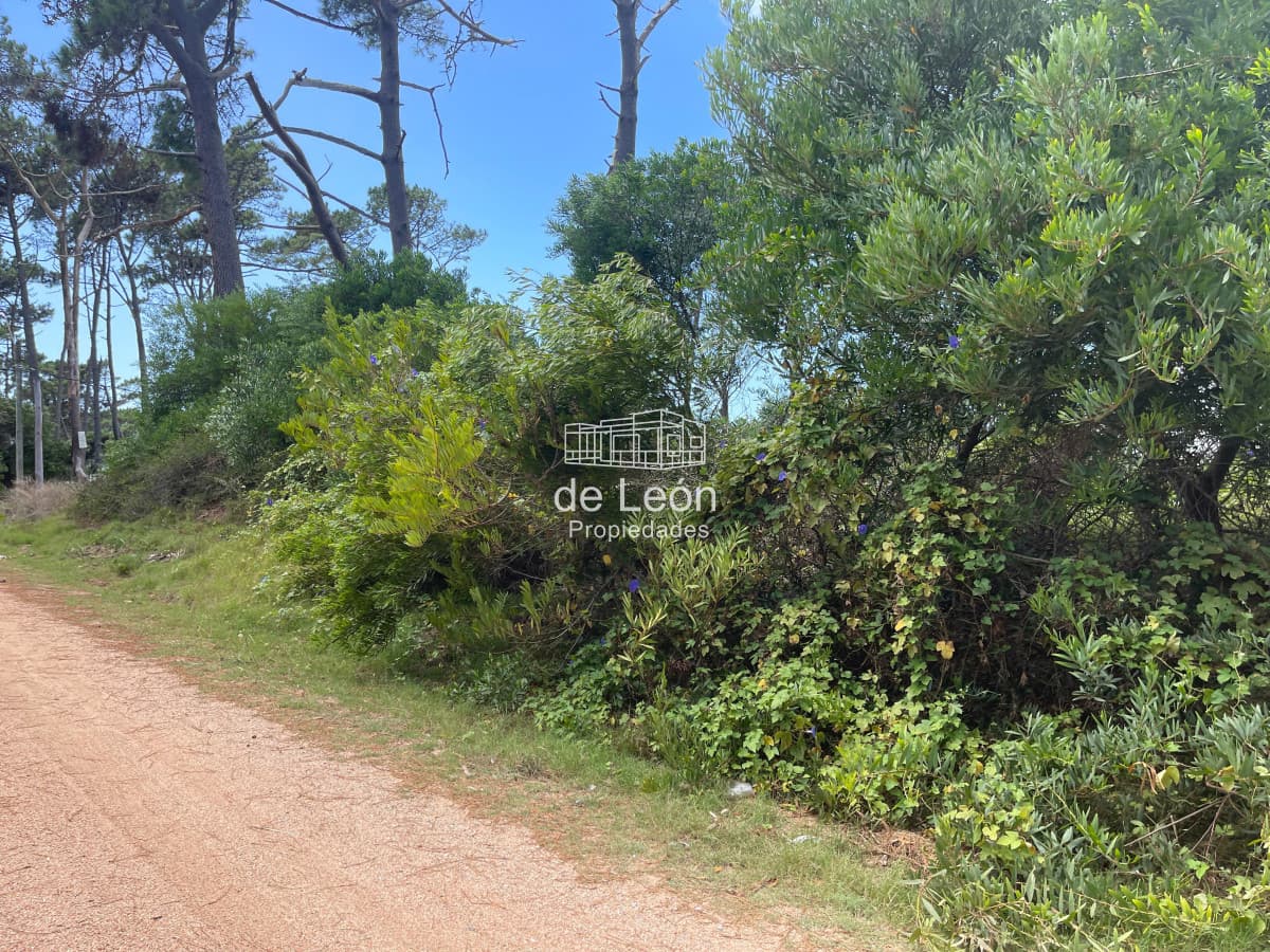 Lote esquinero en Montoya, La Barra