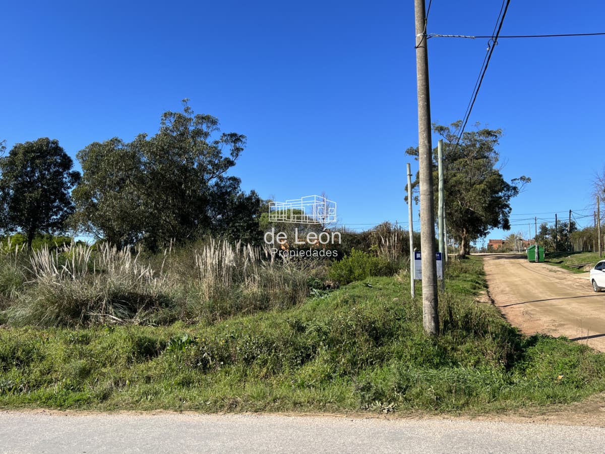 Terreno en El Chorro, 3 padrones juntos total 1.549m2