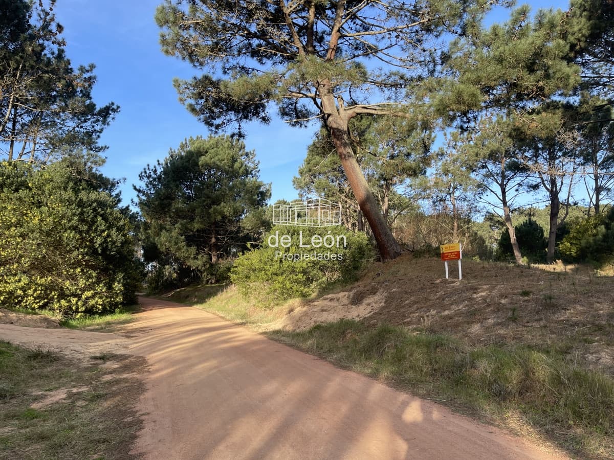Lote en venta de 2600 metros en Barra Verde, La Barra