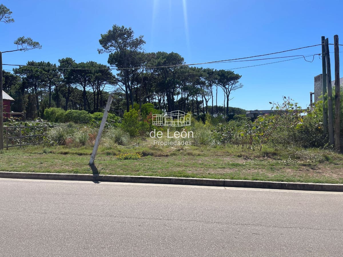 Terreno en La Barra, Montoya