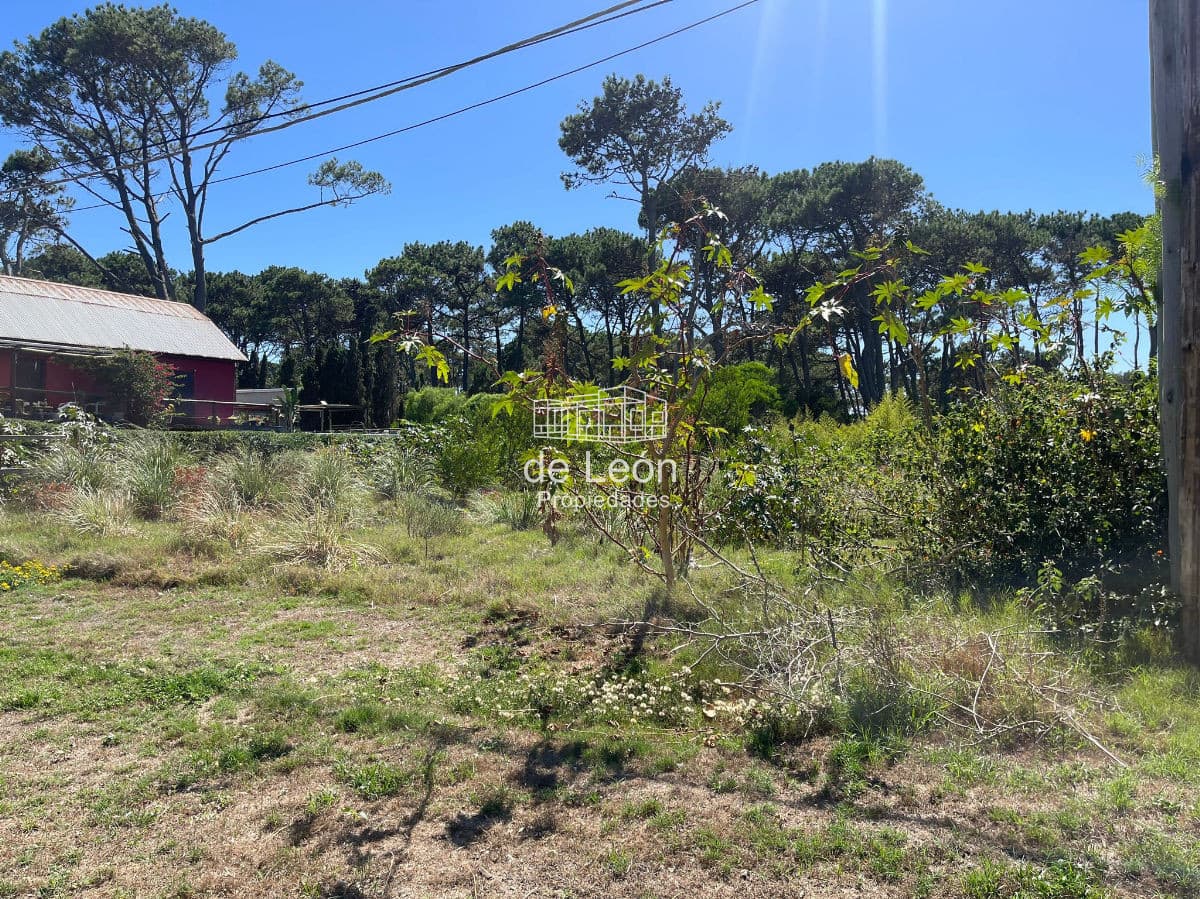 Terreno en La Barra, Montoya