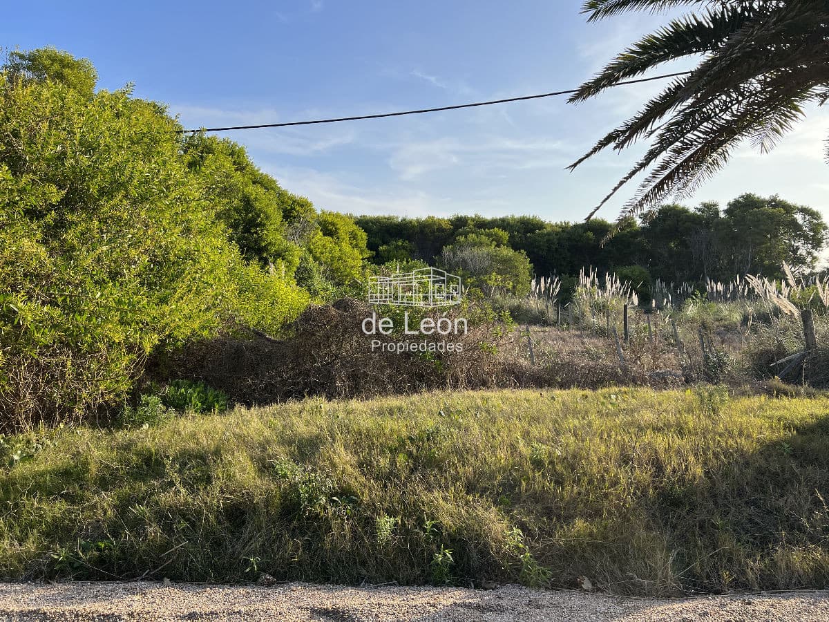 Lote en venta en Santa Mónica