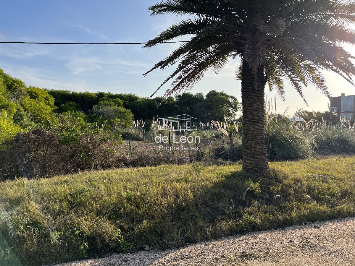 Lote en venta en Santa Mónica