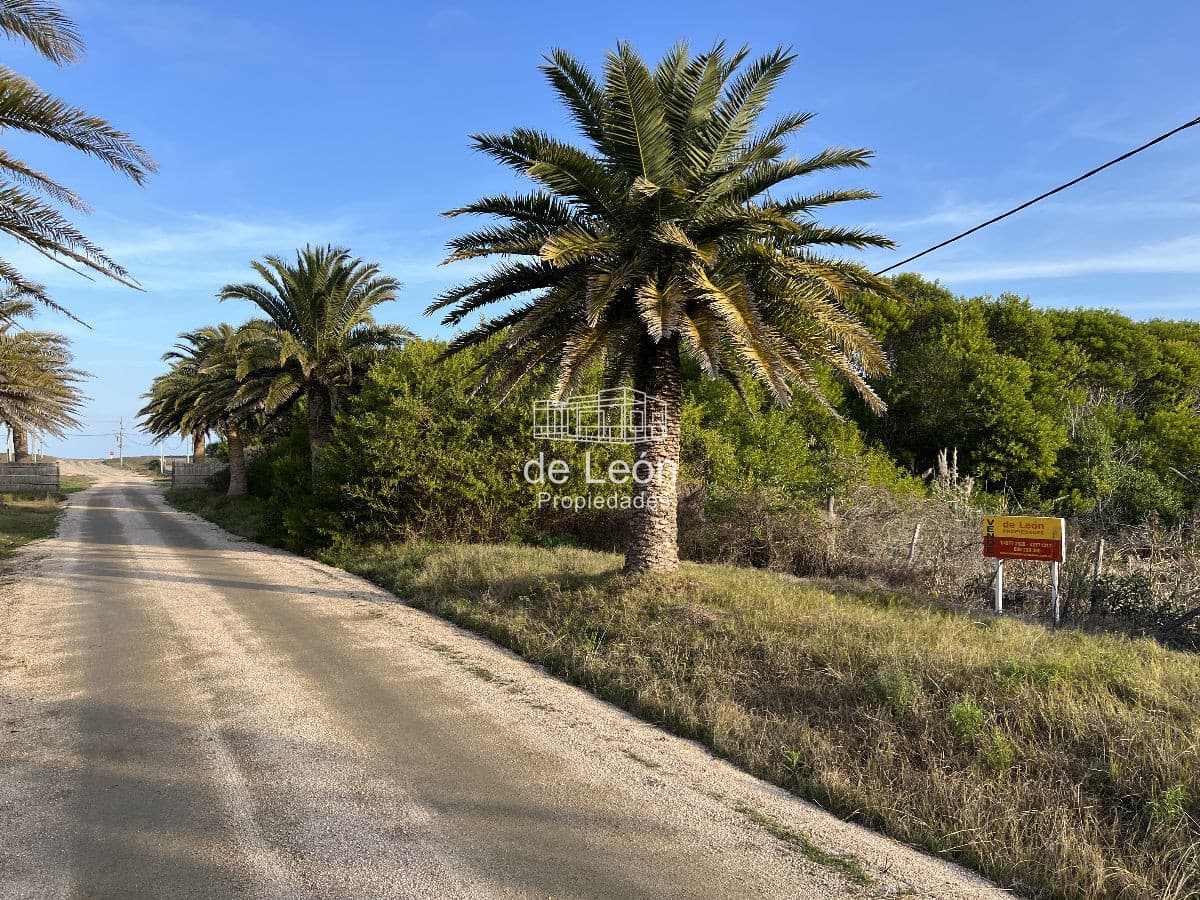 Lote en venta en Santa Mónica