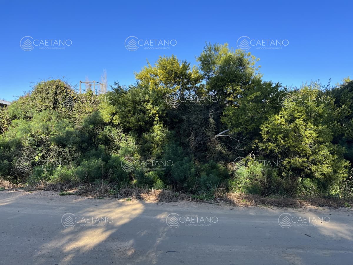 Terreno en venta en El Chorro