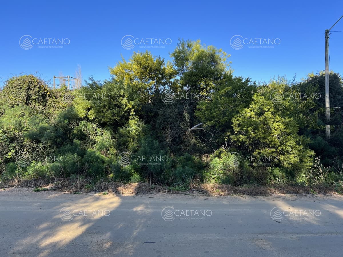 Terreno en venta en El Chorro
