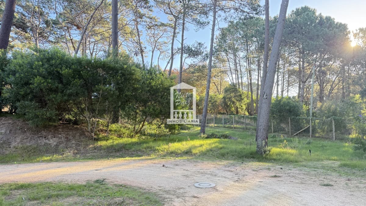 Terreno en Reserva de Montoya