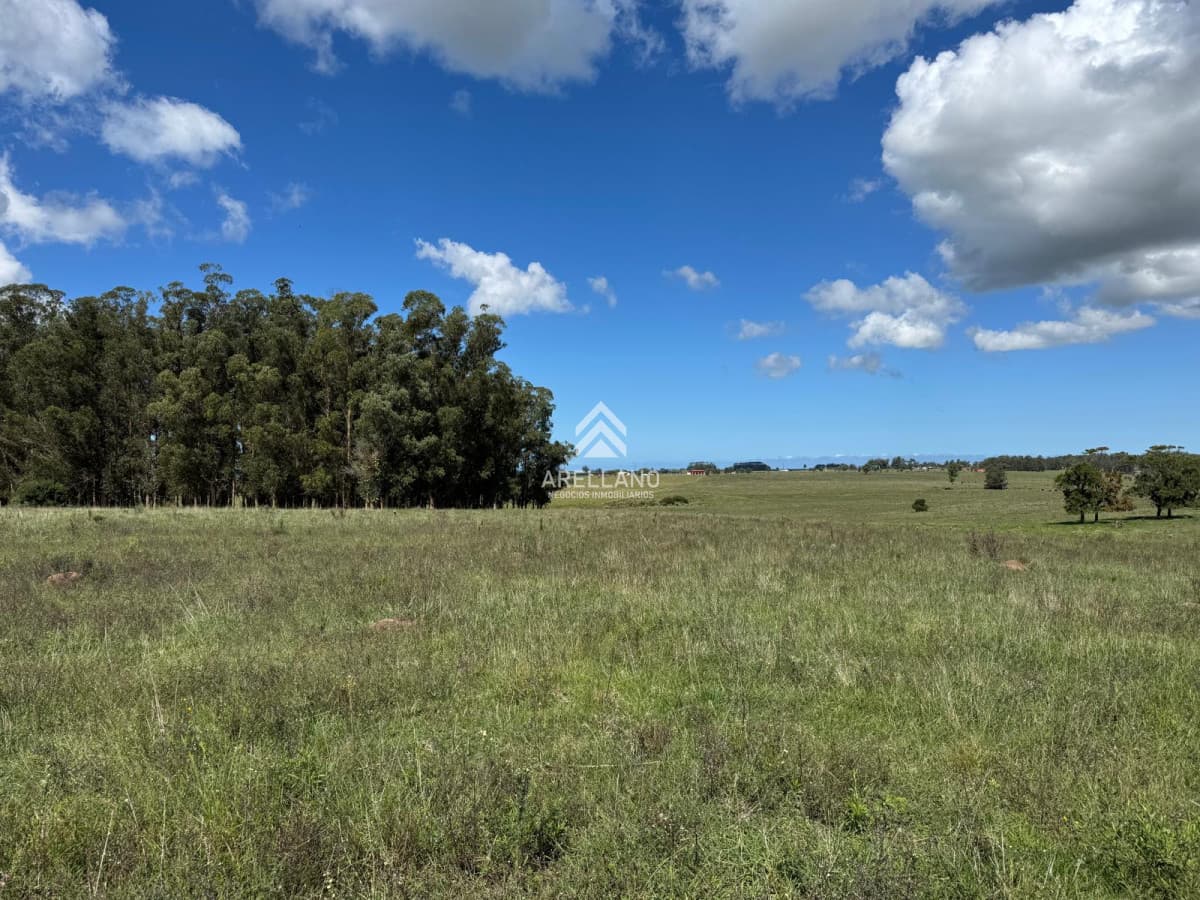 Campo Ref.4998 - VENTA DE CHACRA – 81 HECTÁREAS EN CAMINO A PUEBLO GARZÓN