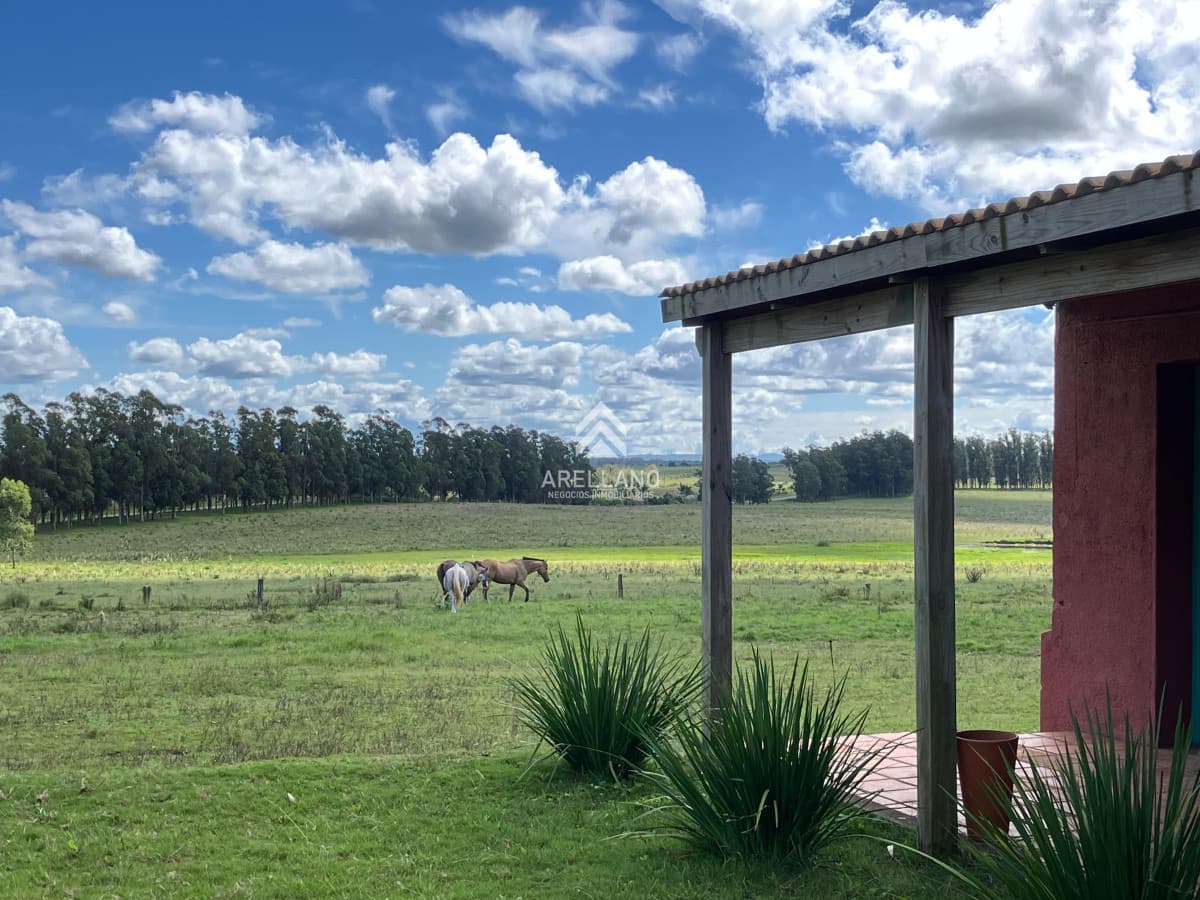 Campo Ref.4998 - VENTA DE CHACRA – 81 HECTÁREAS EN CAMINO A PUEBLO GARZÓN