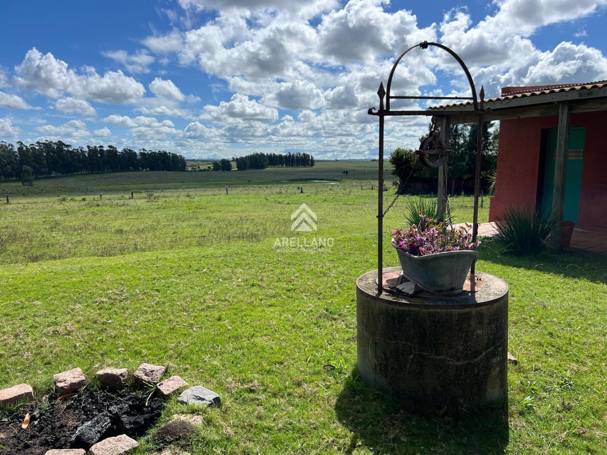 Campo Ref.4998 - VENTA DE CHACRA – 81 HECTÁREAS EN CAMINO A PUEBLO GARZÓN